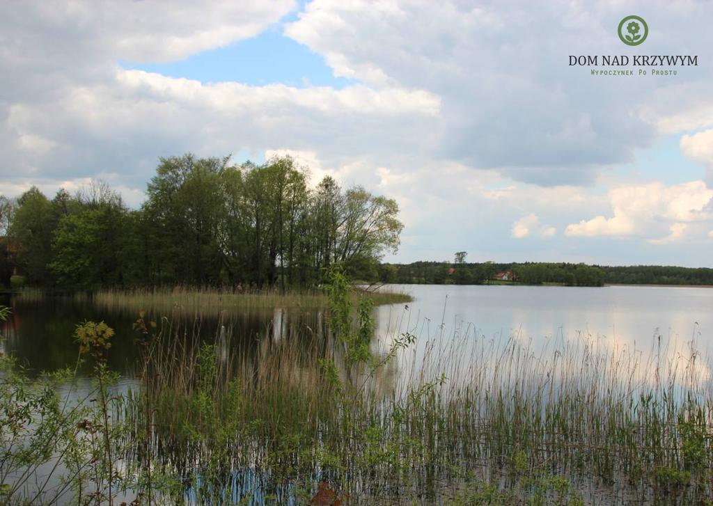 Dom Nad Krzywym - Prywatna Plaza, 2 Boiska, Sauna, Plac Zabaw Krzywe  Exteriér fotografie